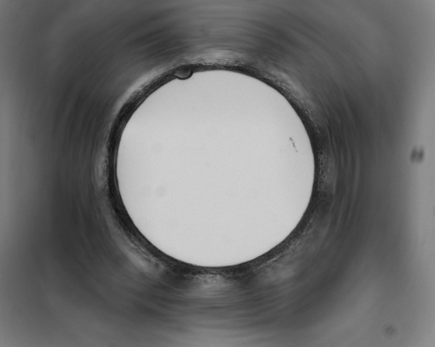 X0000101200392200807251030