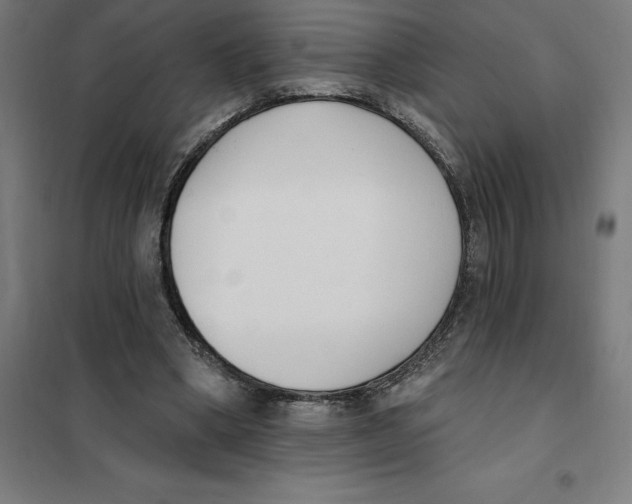 X0000101200394200807251030