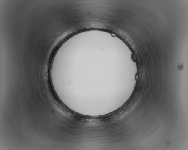 X0000101200395200807251030