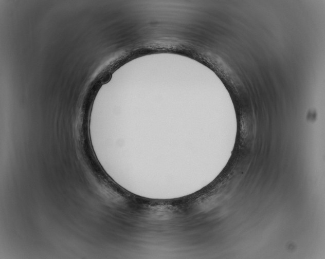 X0000101200396200807251030