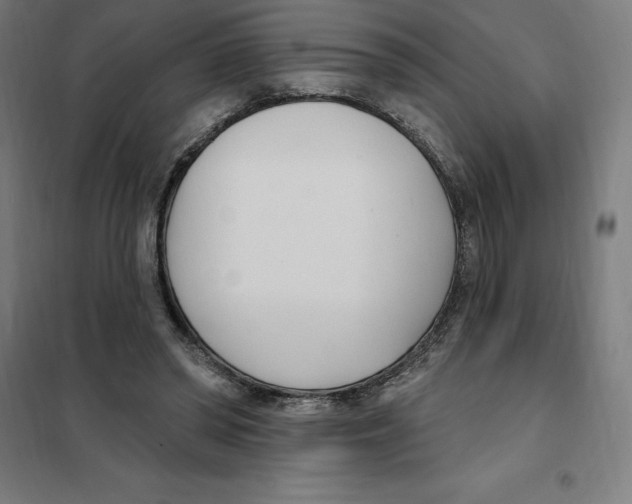 X0000101200398200807251030