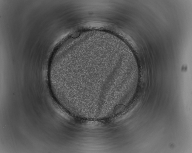 X0000101200399200807251030