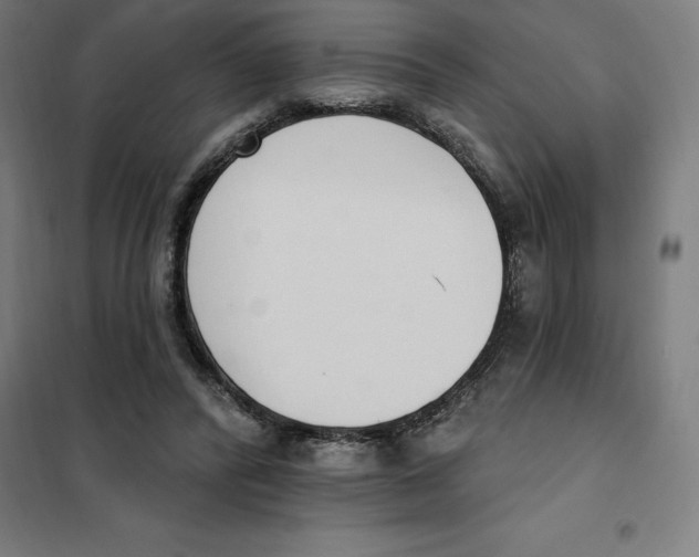 X0000101200400200807251030