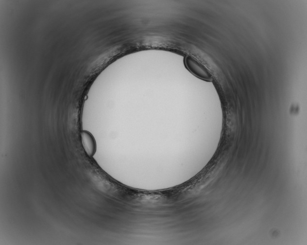 X0000101200401200807251030