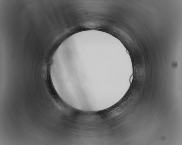 X0000101200404200807251030