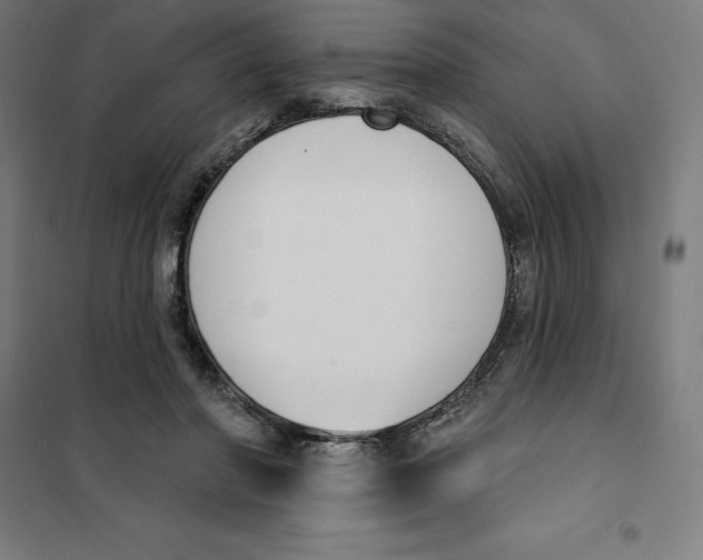 X0000101200406200807251030