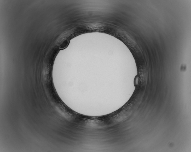 X0000101200408200807251030