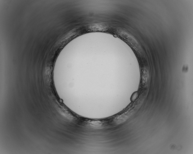 X0000101200409200807251030