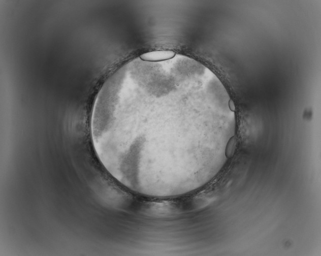 X0000101200411200807251030