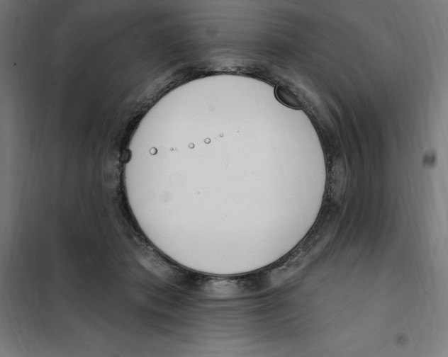 X0000101200413200807251030