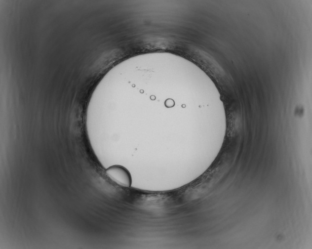 X0000101200414200807251030