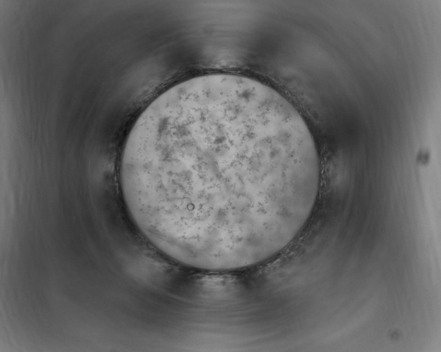 X0000101200415200807251030