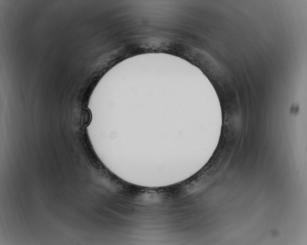 X0000101200416200807251030