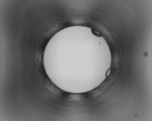 X0000101200417200807251030