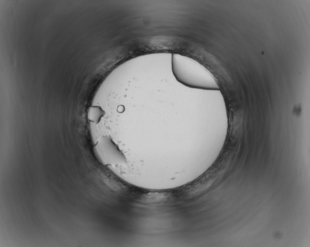 X0000101200418200807251030