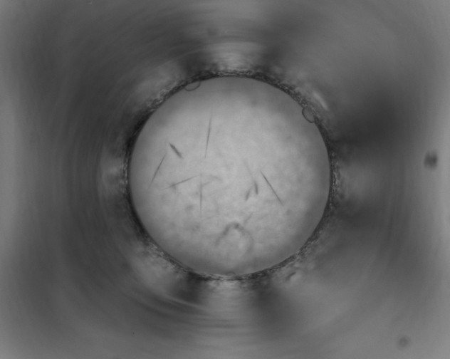 X0000101200419200807251030