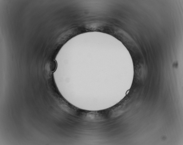 X0000101200420200807251030