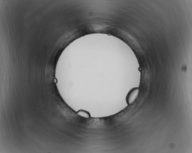 X0000101200421200807251030