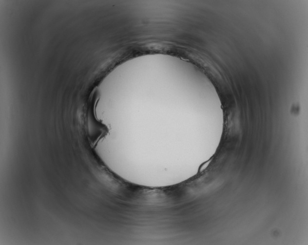 X0000101200424200807251030