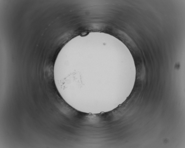 X0000101200425200807251030