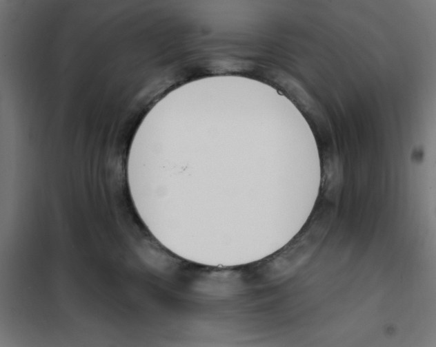 X0000101200426200807251030