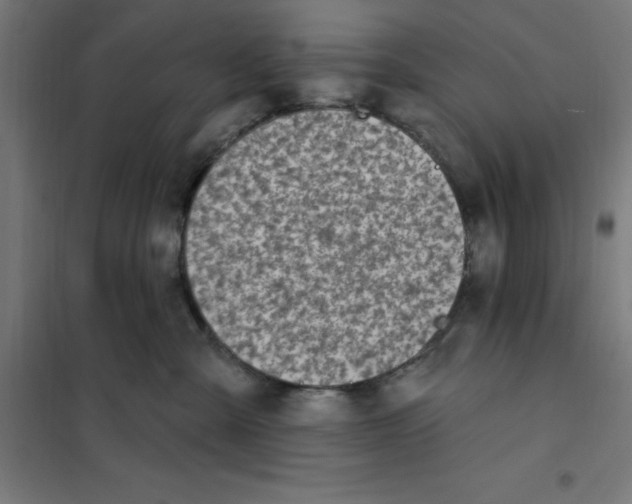 X0000101200427200807251030