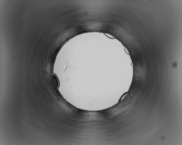 X0000101200428200807251030