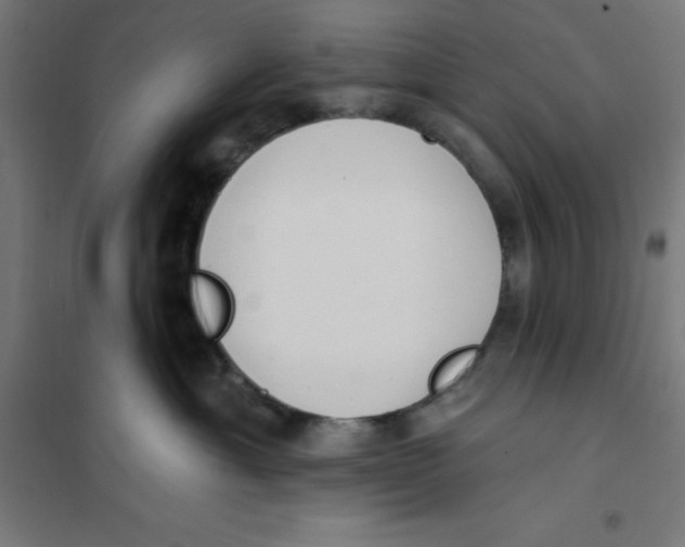 X0000101200429200807251030