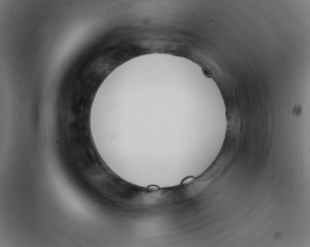X0000101200430200807251030