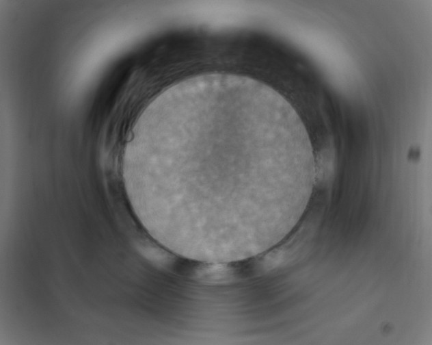 X0000101200431200807251030