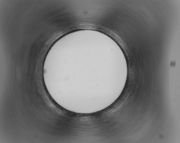 X0000101200433200807251029