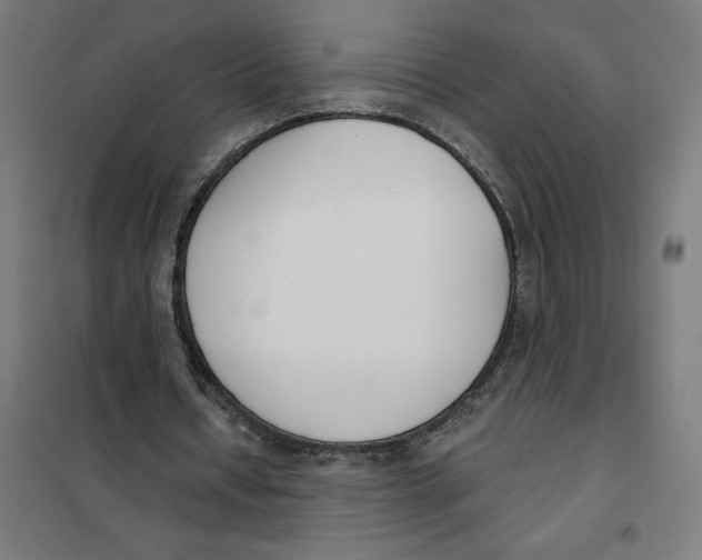 X0000101200434200807251029