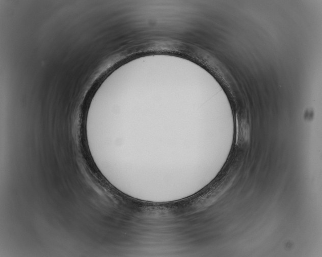 X0000101200435200807251029