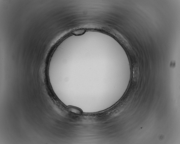 X0000101200436200807251029