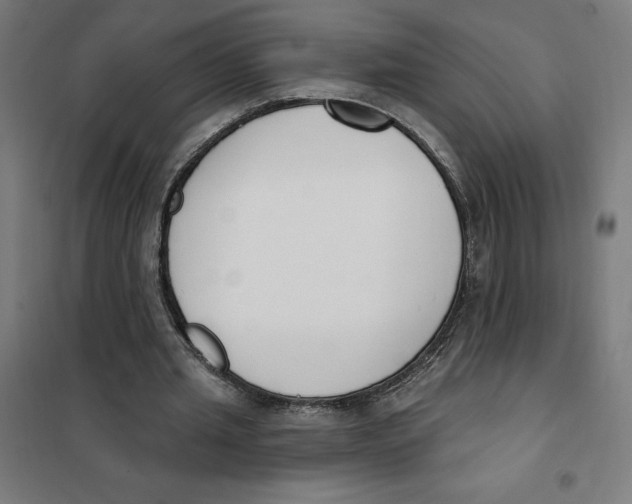 X0000101200437200807251029