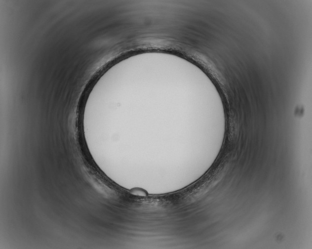 X0000101200439200807251029