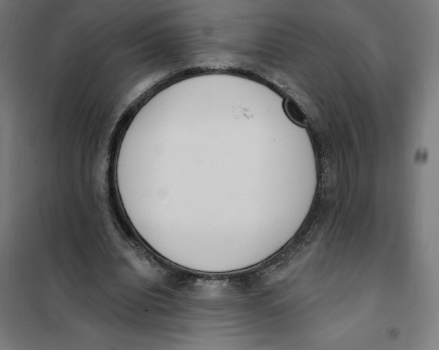 X0000101200440200807251029