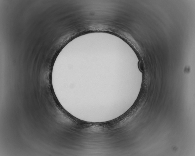 X0000101200441200807251029