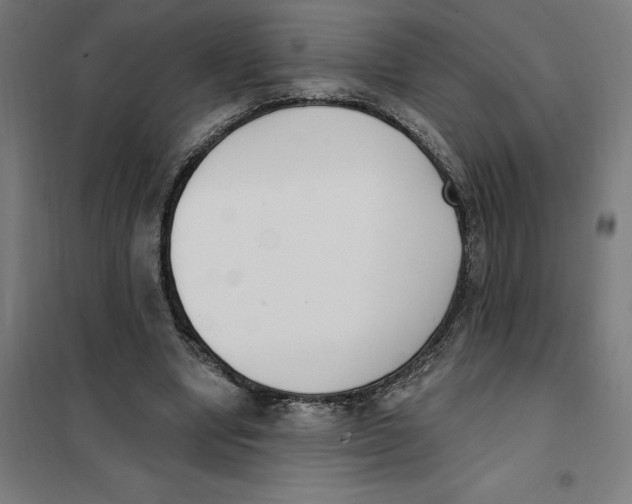 X0000101200442200807251029