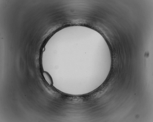 X0000101200443200807251029