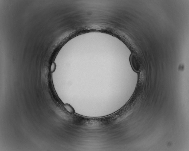 X0000101200444200807251029