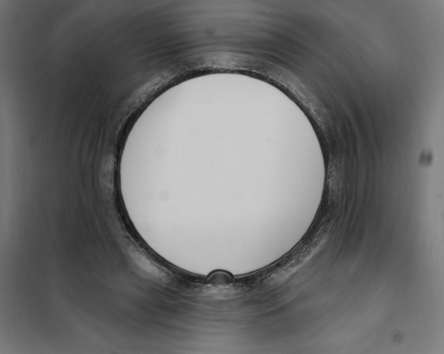 X0000101200445200807251029