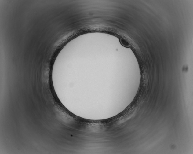 X0000101200446200807251029