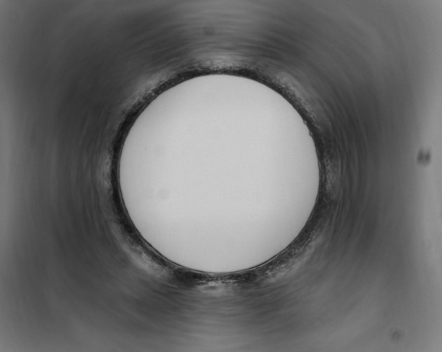 X0000101200447200807251029