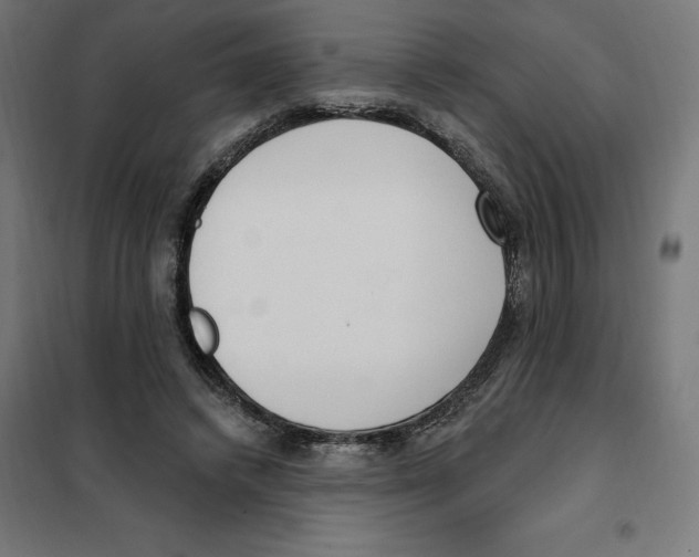 X0000101200448200807251029