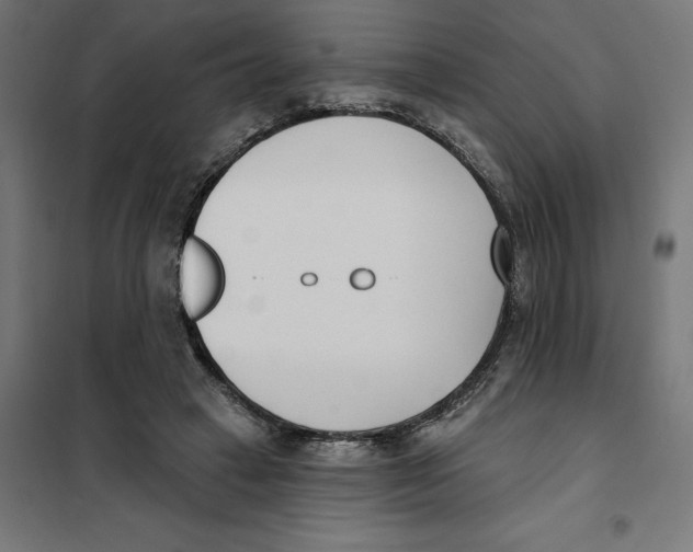 X0000101200449200807251029