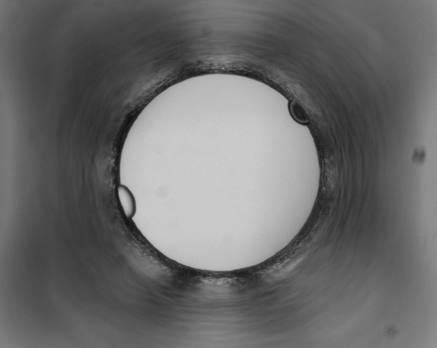 X0000101200450200807251030