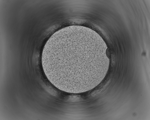 X0000101200451200807251030