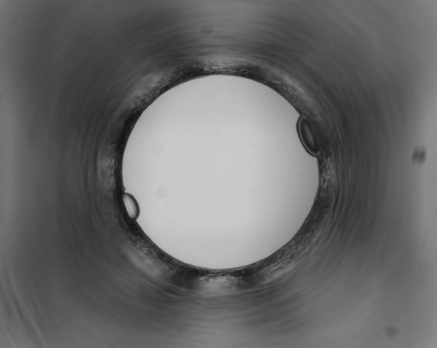 X0000101200452200807251030