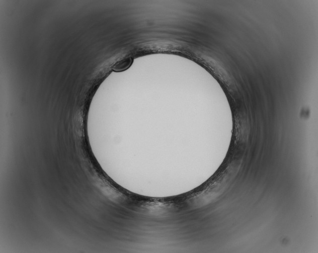 X0000101200453200807251030